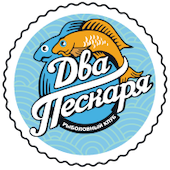 Поисковое продвижение (SEO) и контекстная реклама сайта Dvapeskarya.ru