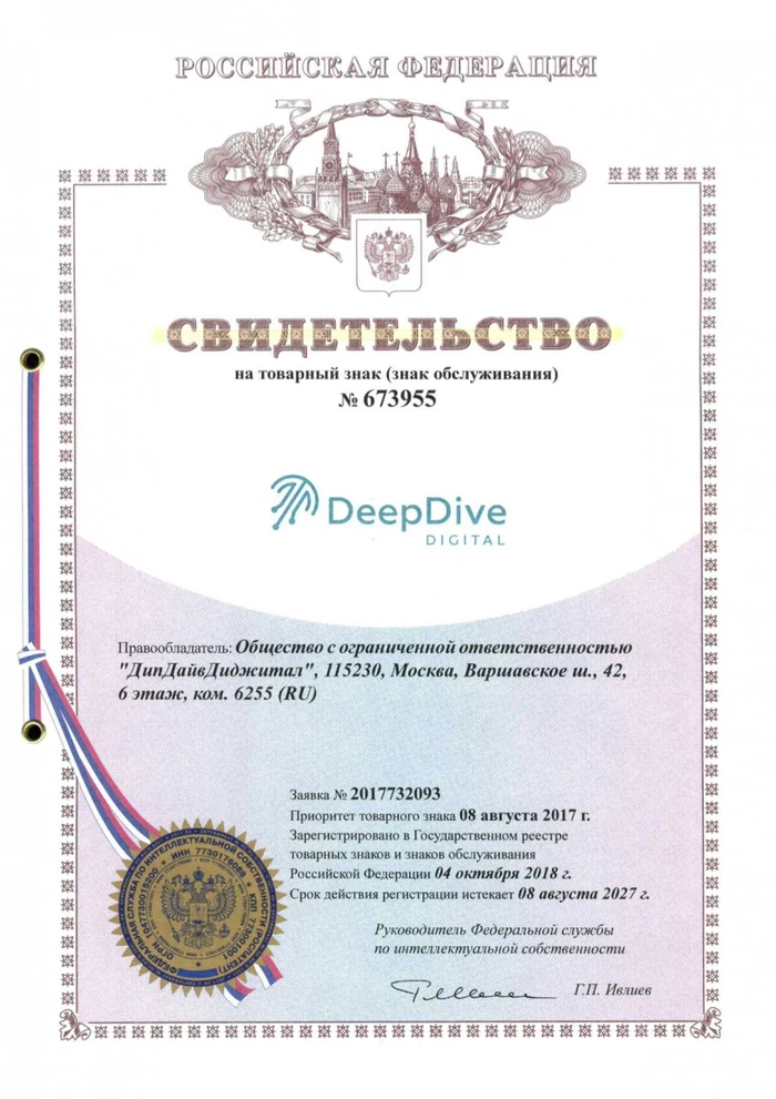 Свидетельство на товарный знак DeepDiveDigital № 673955